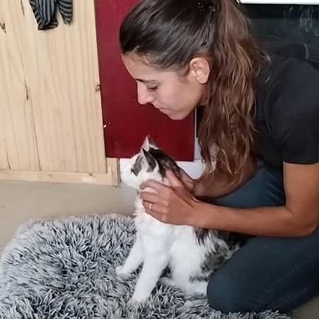 Osteopathe animalier lot et garonne et dordogne chats