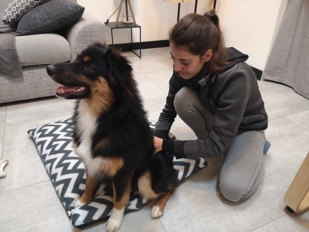 Osteopathe animalier lot et garonne et dordogne pour chiens
