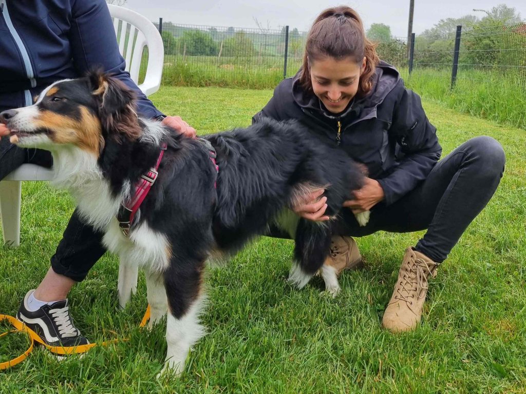 Justine Hoarau - Ostéopathe animalier en Lot-et-Garonne et Dordogne