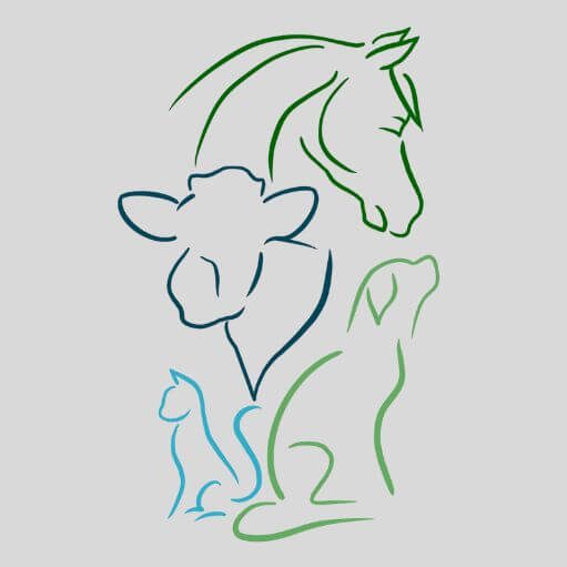 LOGO JUSTINE OSTEOPATHE ANIMALIER LOT ET GARONNE DORDOGNE ET GIRONDE
