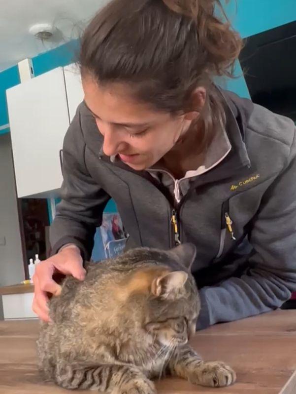 Ostéopathe pour chiens et chats - Lot et Garonne et Dordogne