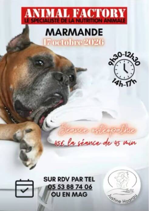 ANIMAL FACTORY MARMANDE 17 octobre 2026 séance ostéopathie